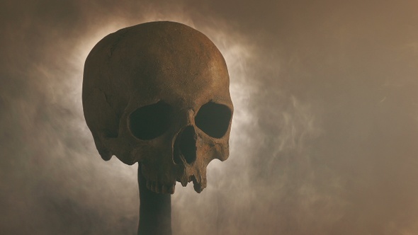 Skull On Smoky Battlefield