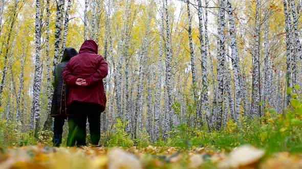 Senior Women in Jackets Walk Among Gold Birches Back View