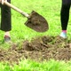 Women Work in the Garden - VideoHive Item for Sale