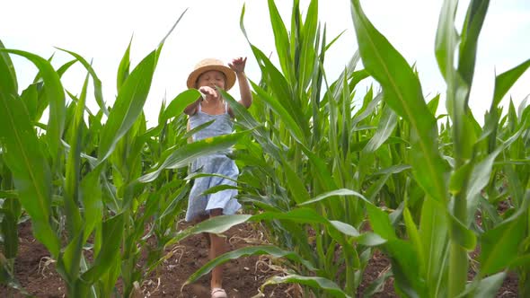 Close Up of Happy Small Child in Straw Hat Running To the Camera Through Corn Field at Overcast Day