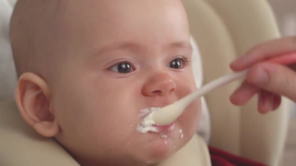 A newborn baby holds a spoon on its own while sitting in a highchair. Feeding the baby puree