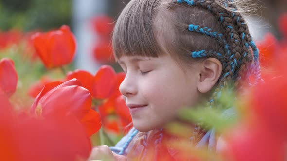 Happy Child Girl Playing in Summer Garden Enjoying Sweet Scent of Red Tulip Flowers on Sunny Day