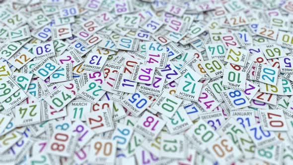 November 4 Date on Calendar Leaf Among Other Leaves alt