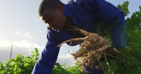 Young man working on farm