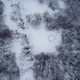 The winter park - VideoHive Item for Sale