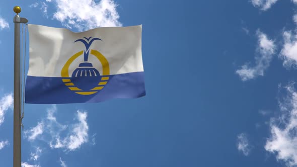 Orlando City Flag Florida (Usa) On Flagpole