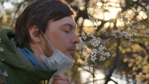 Guy Removes Medical Mask and Sniffs Blossoming Tree of Apple or Cherry at Sunset Close-up