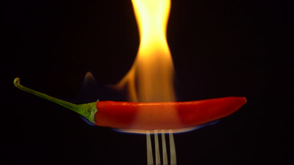 Red Hot Chili Pepper on Fork Burning in Flames on Black Background