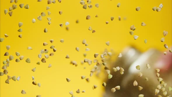 Closeup of Falling Down Green Buckwheat on Glass Table on Yellow Background