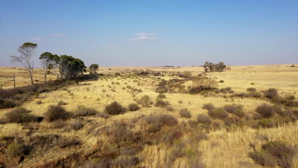 Drone Footage of Africa Savanna