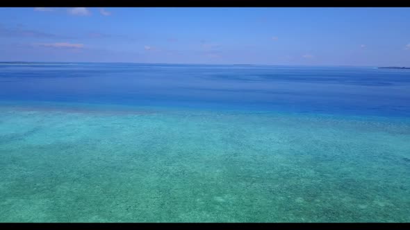 Aerial drone shot scenery of tranquil resort beach wildlife by blue ocean and white sandy background