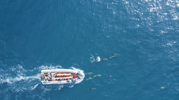 Aerial view of a motorboat in the ocean, Azores, Portugal.