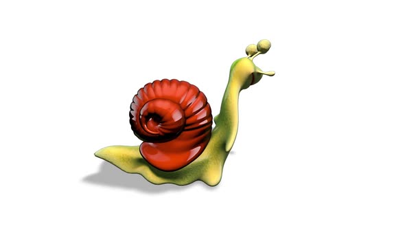 Fun 3D Snail Dance Show  Looped on White