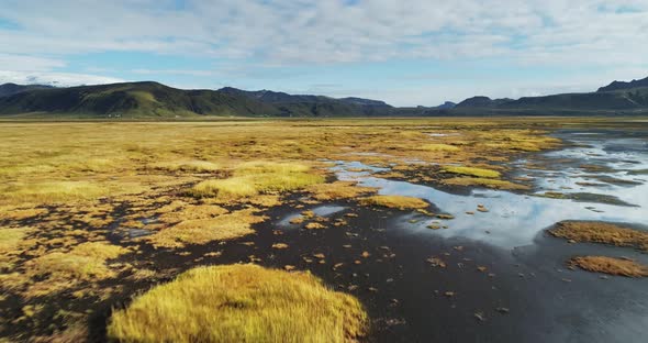 Wetlands Behind Reynisfjara Beach Iceland