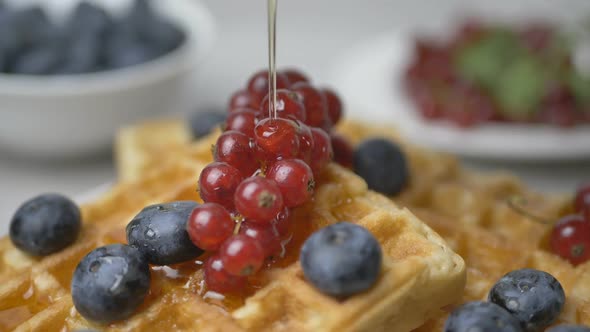 Maple Syrup is Poured Onto Belgian Waffles