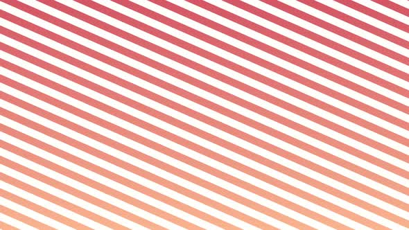 Stripe Animation Background alt
