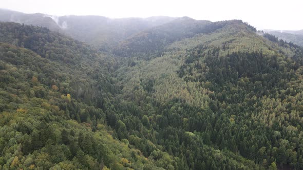 Nature of Ukraine: Carpathian Mountains Slow Motion. Aerial View