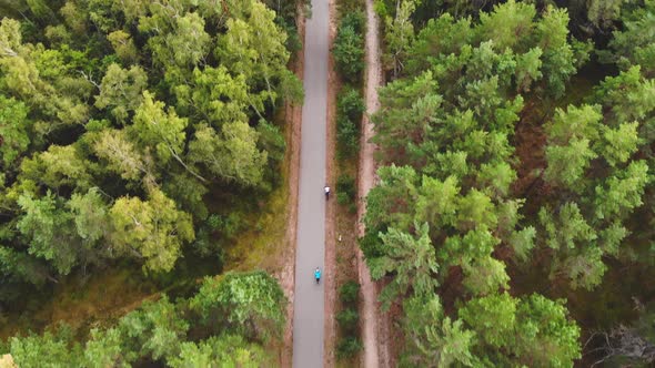 AERIAL: Two Cyclists Drives Very Fast Through the Green Pine Forest