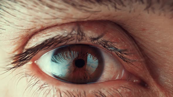 Beautiful Male Eye with Brown Iris and Retina Long Black Eyelashes Eyeball