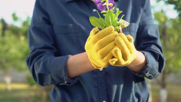 Florist or Gardener Outdoors