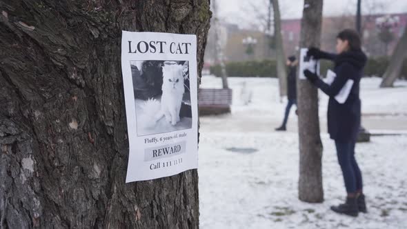 Blurred Caucasian Woman Hanging Missing Cat Ads on Trees, One Advertisement Is on the Foreground