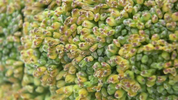 Fresh Organic Broccoli On The Table. Macro Slider Shot