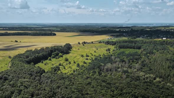 Green Tree Forest Yellow Fields in Wild Nature Landscape Area Near Small Village