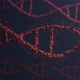 DNA - VideoHive Item for Sale