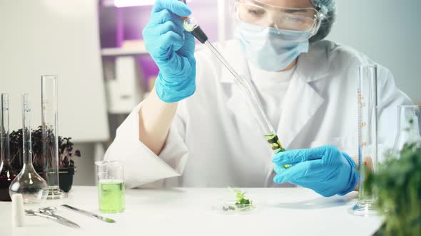 Medical Scientist Inspecting Microgreens Wearing Protective Unform Working in Laboratory