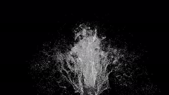 Water Splash