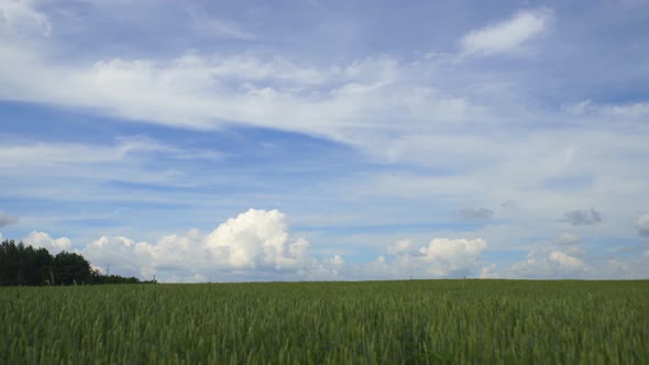 White Clouds At Field. Time Lapse