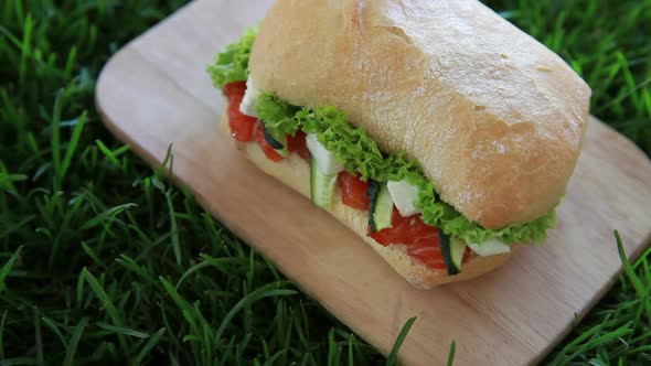 Delicious Sandwich with Fish Fresh Vegetables and Cheese on a Green Background