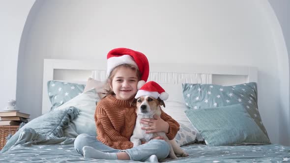 Little Happy Girl in a Knitted Winter Sweater Sits on a Made Bed with Her Little Dog Jack Russell in