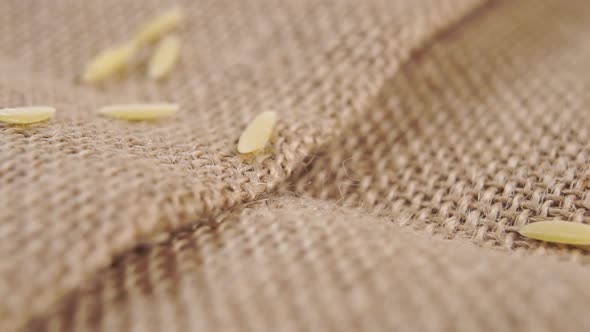 Raw peeled whole barley grains fall onto rustic burlap in slow motion. Macro