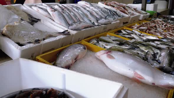 Fresh Sea Fish in Ice on the Counter of Seafood Market. Fish Sold on the Street