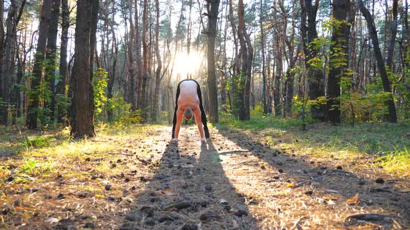Muscular Man Doing Handstand in Forest at Beautiful Sunset Background