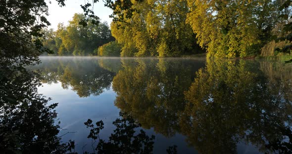 The pond Sainte Perine, Forest of Compiegne, Picardy, France.