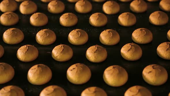 Fresh Biscuits Made in the Factory