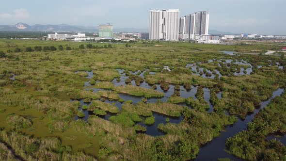 Aerial top down view wetland