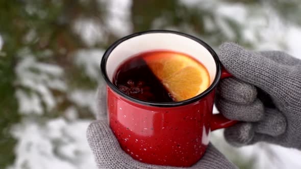 Mulled Wine in a Cup