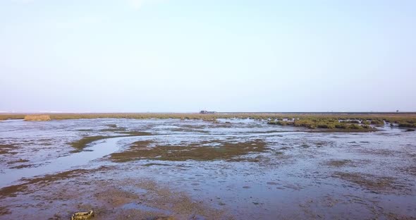 Beautiful Lagoon with Mud and Greenery