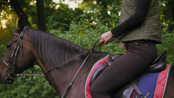 Unrecognizable Female Rider Sitting in Saddle on Stallion Holding Leather Bridle