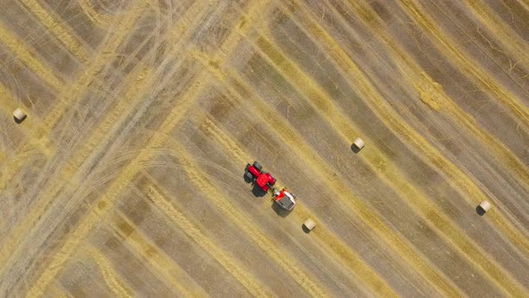 Aerial View of Haymaking Processed Into Round Bales. Red Tractor Works in the Field