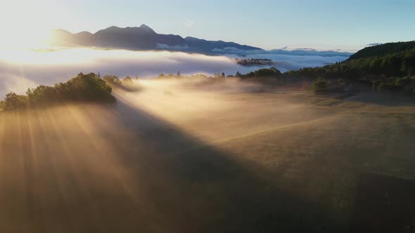 Foggy morning in the forest and landscape