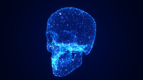 Skeleton Head 3 D Hologram