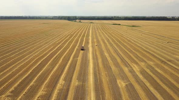 Aerial: Flying above wheat field. Tractor working on the agriculture field. Producing hay bales.