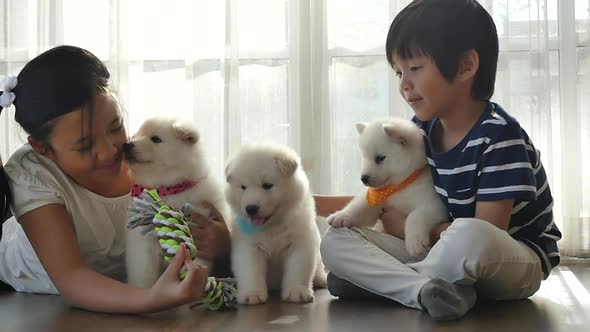 Cute Asian Children Playing With Siberian Husky Puppies Slow Motion