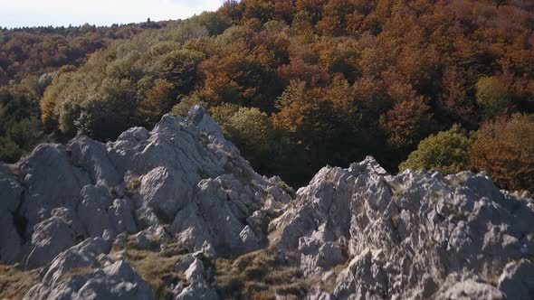 Smooth traveling above a rock discovering a forest in autumn. 4K Pro Res