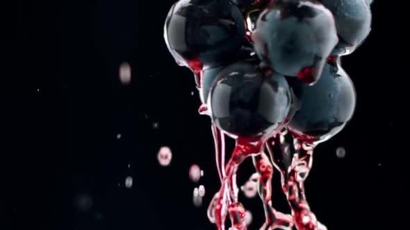 Fresh Black Grapes Rotation on Isolated Black Background on Super Slow Motion