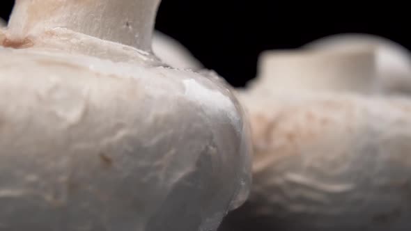 A drop of water falls on a champignon mushroom in slow motion on a black background